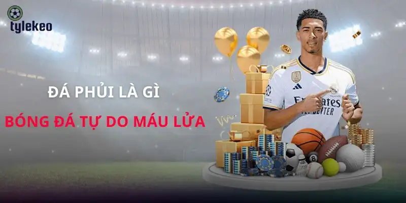 da-phui-la-gi